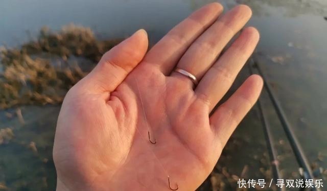 野钓别只用伊势尼!想大小通杀,还是这几种鱼钩效果更好
