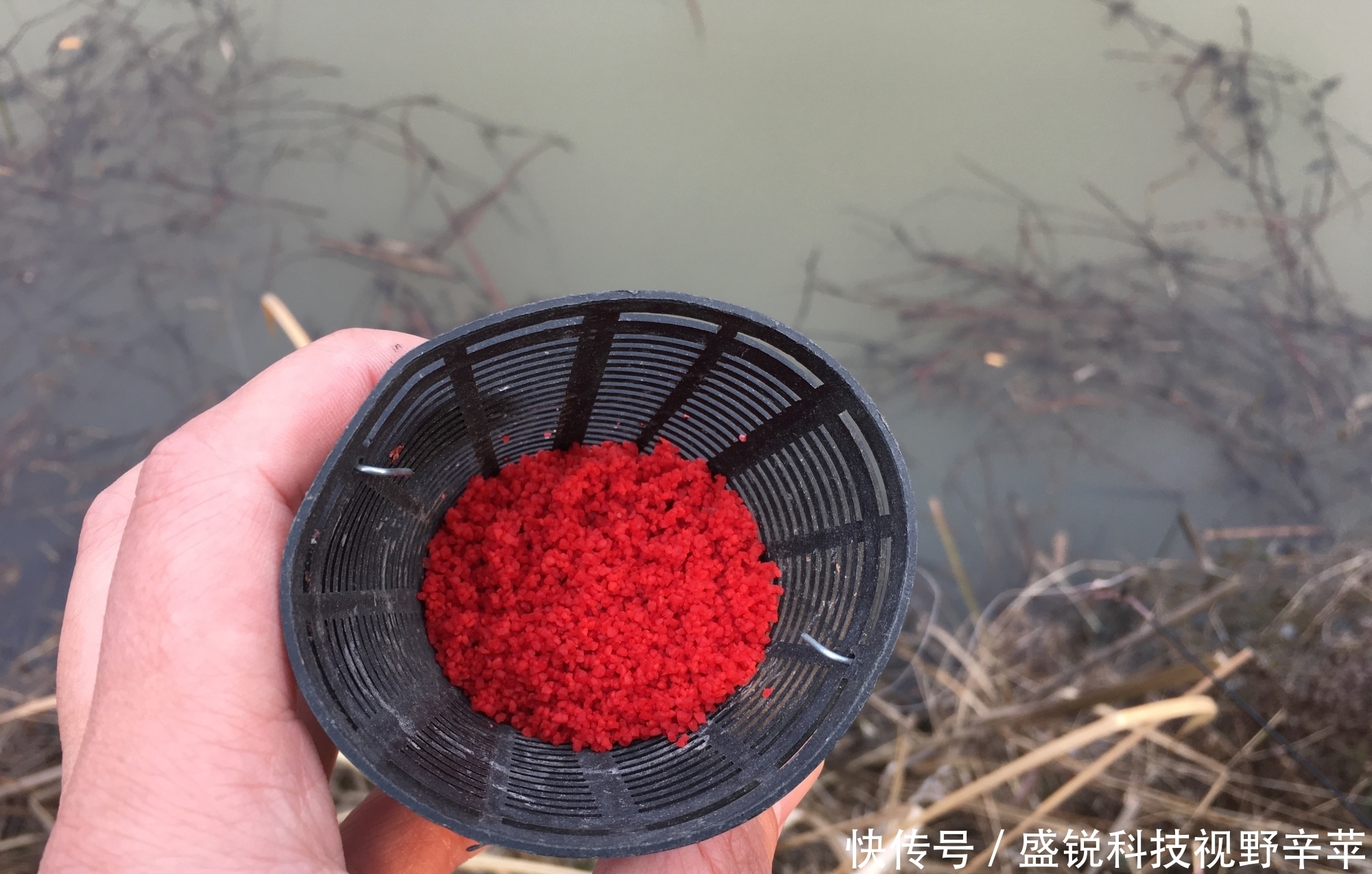 钓鱼不打窝,钓得也不多!5种打窝方法,让每一粒粮食都能诱鱼!