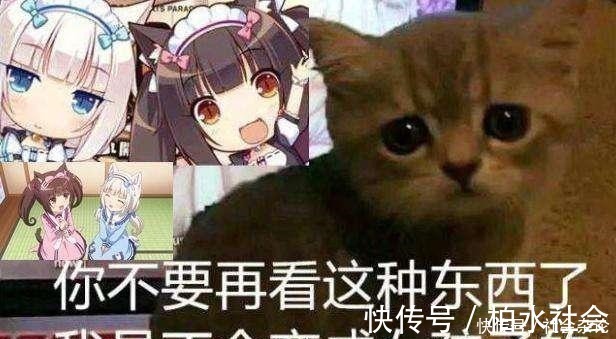 被迫害妄想症|日漫看多了会产生的三种“后遗病”,中了两种,说明你病得不浅!