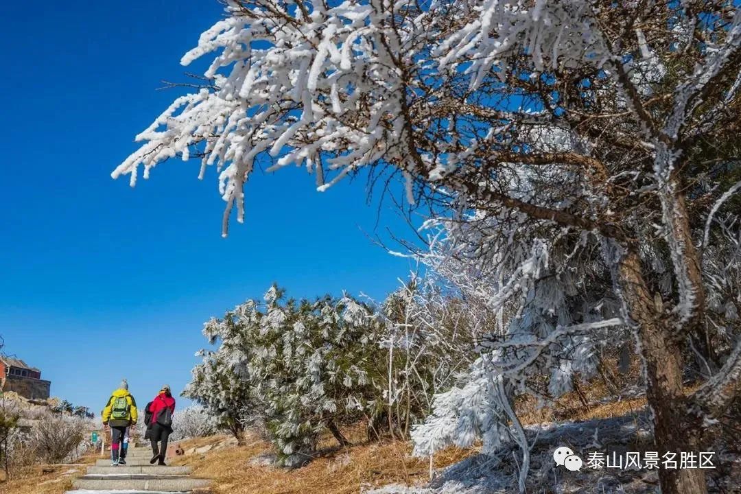 跟随姚鼐的散文《登泰山记》冬览泰山