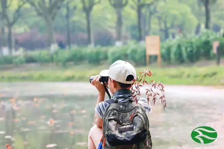 暗绿绣眼鸟|魔都10后女孩，跟鸟较上了劲