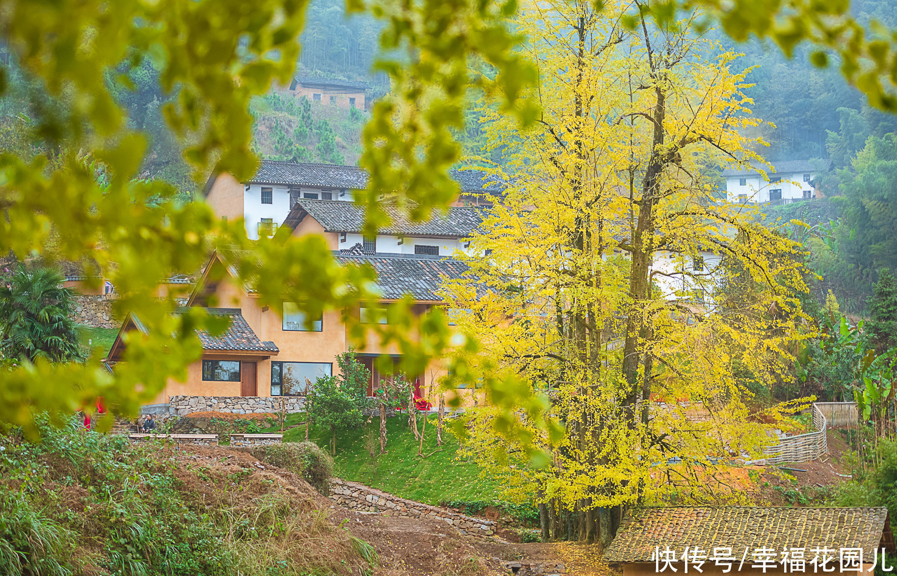 古村|号称今年最后一片银杏叶？大雪节气的高岭宿集，古村尽带黄金甲