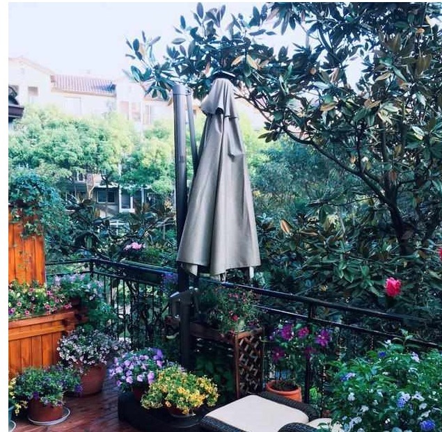 我在自家庭院种以下花,邻居闻到花香,纷纷赶过来观赏