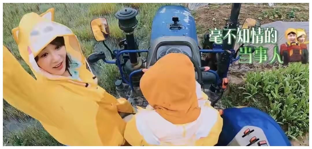 绯闻女友 杨紫空降“向往”，斩获收视率第一，除了炒CP她还有什么魔力