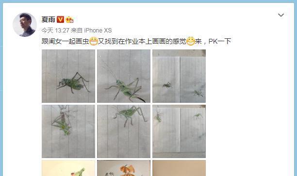 夏哈哈|夏雨:和女儿在家PK画蚂蚱,爷俩画工了得袁泉自动退出只好当裁判