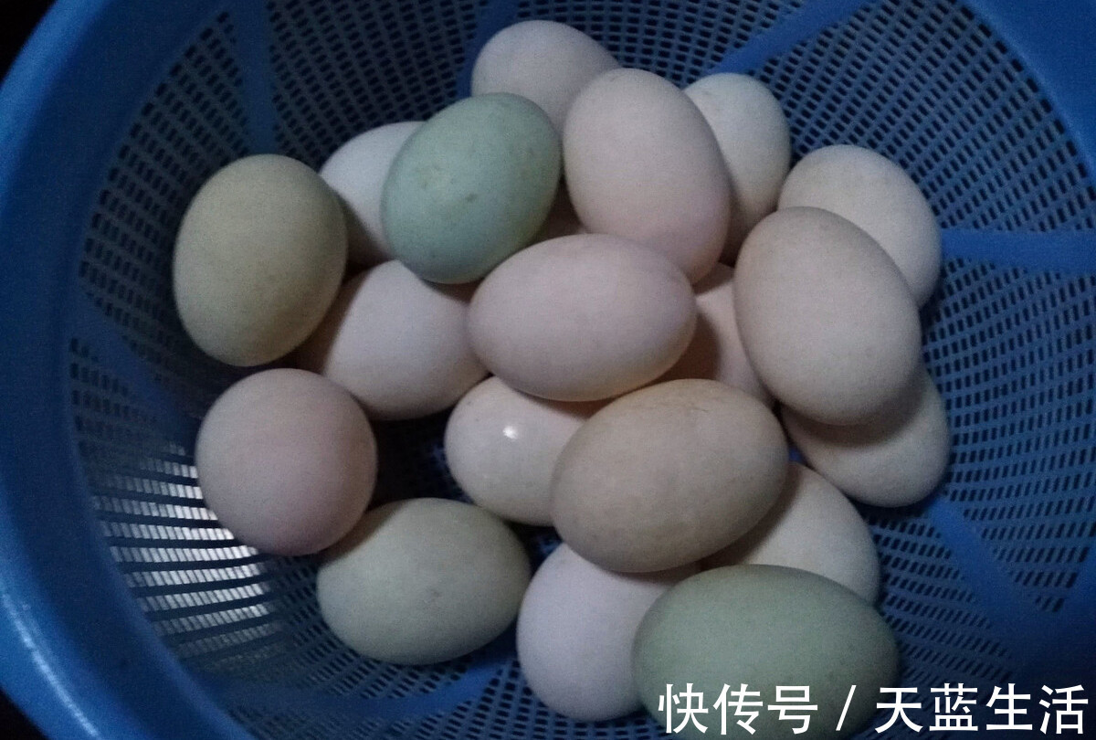 咸鸭蛋|腌咸鸭蛋最简单的方法,不用盐水不用泥,30天腌好,流油起沙