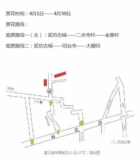 咸阳武功也有万亩油菜花 距离西安市区只有90多公里