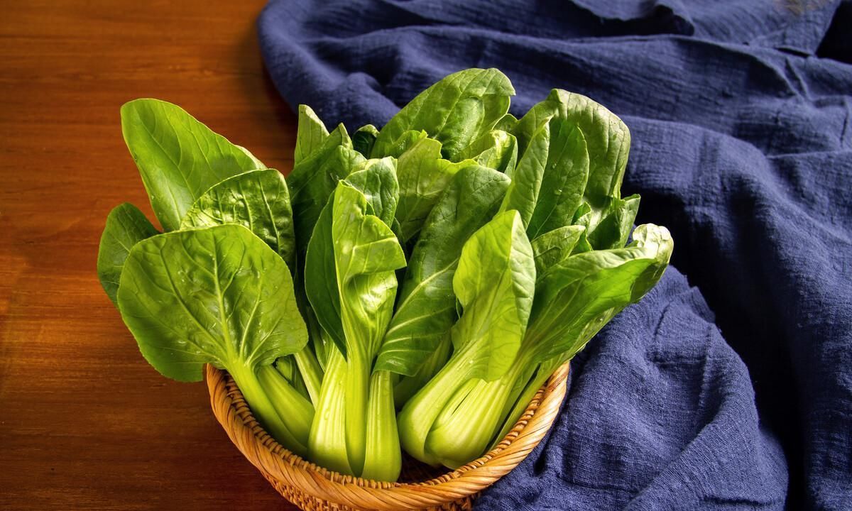 骨科主任不论男女,常吃这4物,可增加骨密度,远离骨质疏松