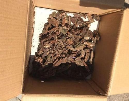  改良|正确使用柳树皮养花，可改良土壤，保植物不黄叶、不烂根！