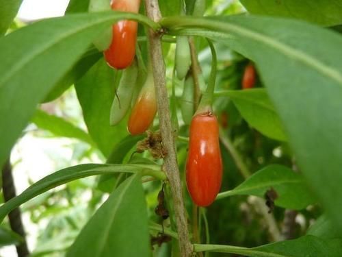 皮肤|好皮肤都是养出来的?每天做好6点,色斑或可慢慢消,气色好