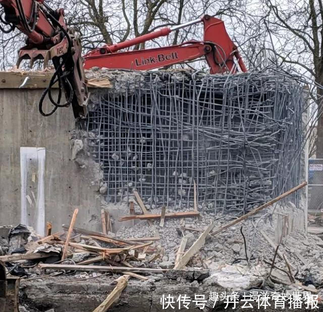 鹦鹉螺&这些东西内部长啥样?25张照片揭示日常事物看不见的一面!