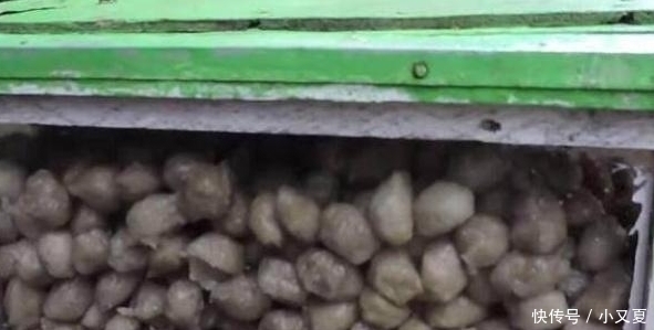 肉丸|大妈卖的“假肉丸”,1元1个,吃货心甘情愿上当,吃起来比肉还香