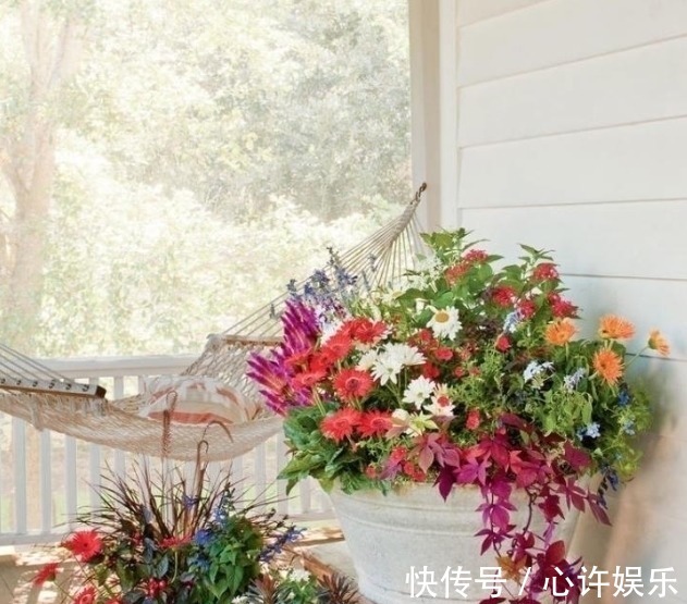 任何容器都能用来做花盆,请收好这30种美丽的花盆搭配设计