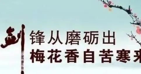 成绩|鼓励求上进，总结寻不足——城区二中八四班期中考试质量分析