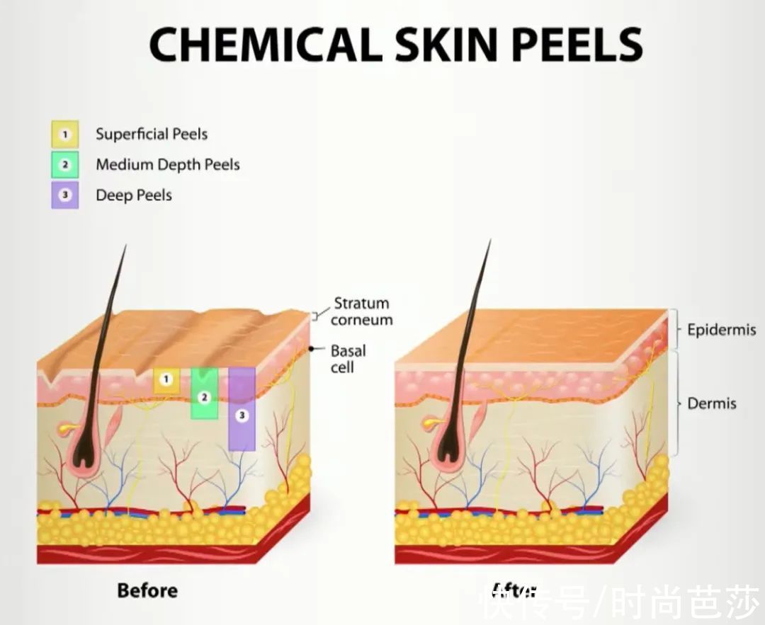 护肤 美上热搜的脸,长什么样?