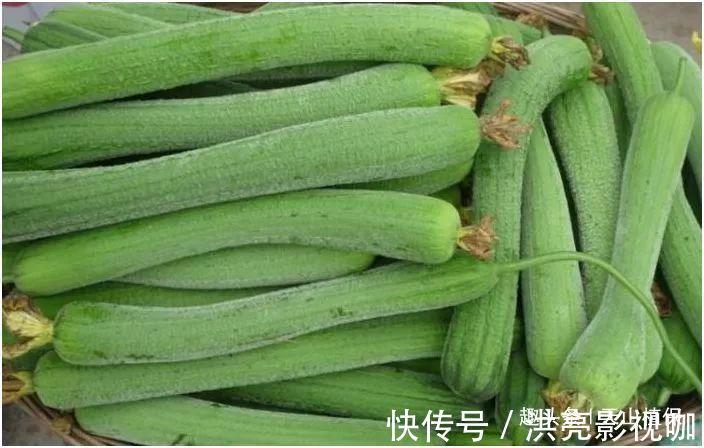 治病|农村以下几种野菜，每个都是治病的良药，老中医非常喜欢