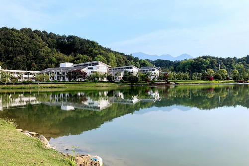 老年游|中国三个适合老年游的地方，山明水秀风光好，更是旅居养老的胜地