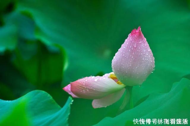 疏通|91岁的奶奶有60岁的脸，血管健康，一点斑都没有，她是怎么做到的