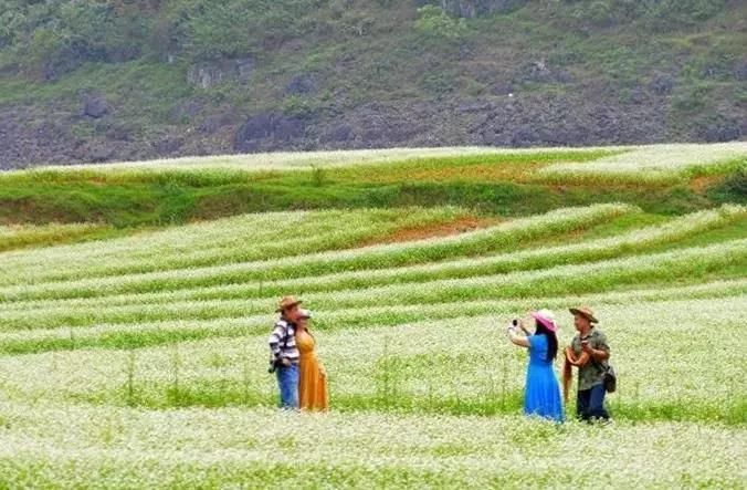 又到一年相约更望湖时节