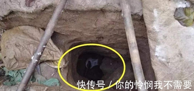 科学|为何盗墓贼大多活不长?“损阴德”并非只是传说,是有科学依据的