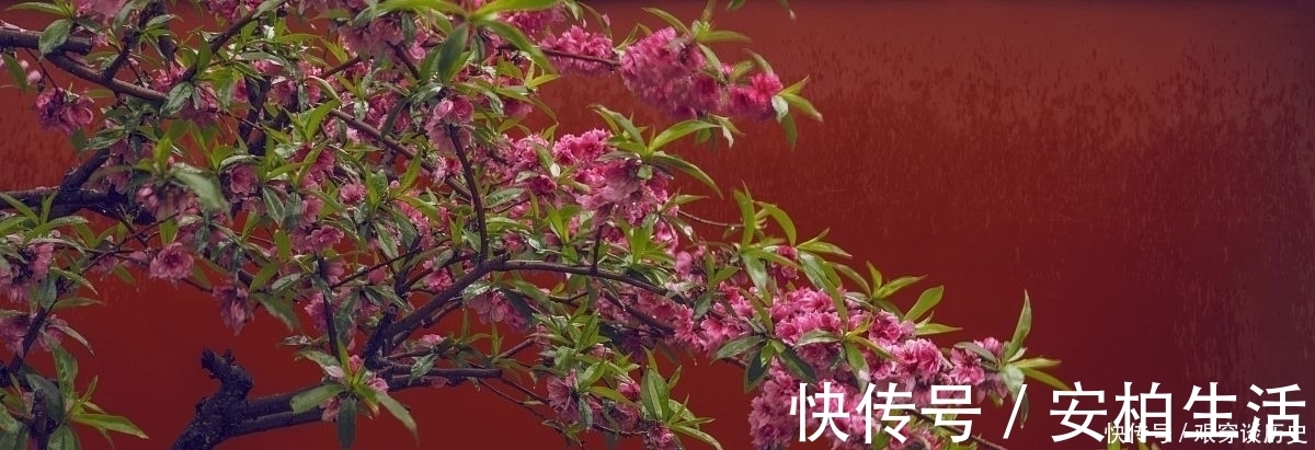 人生|纳兰性德一首深情的经典力作,美得心醉,写尽人生最深的思念