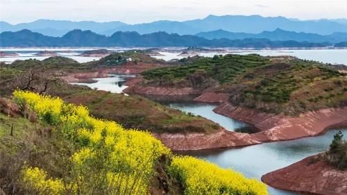 别赶着人潮去太子湾了，杭州还有一处“秘密后花园”，人少花更野！