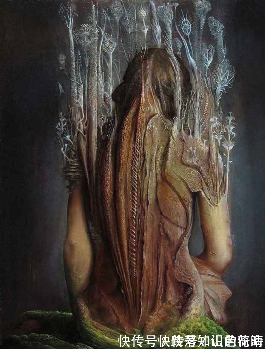 阿里瓦贝内!怪诞、邪恶、痛苦与死亡——阿里瓦贝内真实与想象的艺术空间