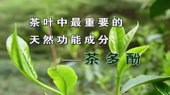 大蒜、苹果…“抗癌食物”有效吗？这样养，癌症不上门