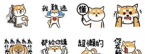 柴犬|大家还记得那只在二次元爆火的肌肉柴犬吗?现如今终于有实体版了