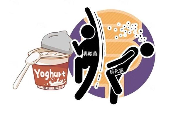 消化|清洁肠道的“救星”被发现,若你爱吃,有助消化,还能给肠道洗洗澡