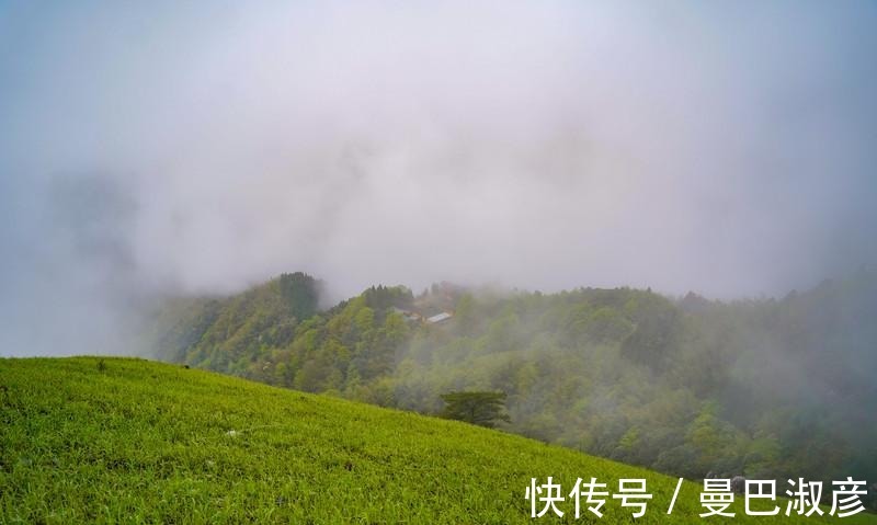 避暑胜地|中国最美的高山草甸，被称为绿色天堂，是著名的避暑胜地