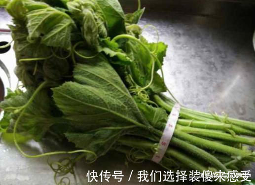 南瓜尖|“戒烟菜”，2元买一捆，一周吃三次，清除尼古丁男人要多吃