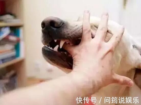 男孩|4岁男孩突然抽搐死亡，爷爷奶奶懊悔昏迷，愚蠢的是很多家长在做