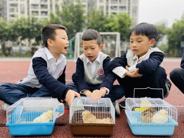 小学生们|重庆：主题实践课程助力多彩寒假生活
