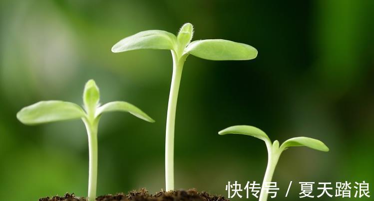 生肖鼠|7月中旬桃花扎堆来，财福不缺喜事多，日子越来越顺的属相