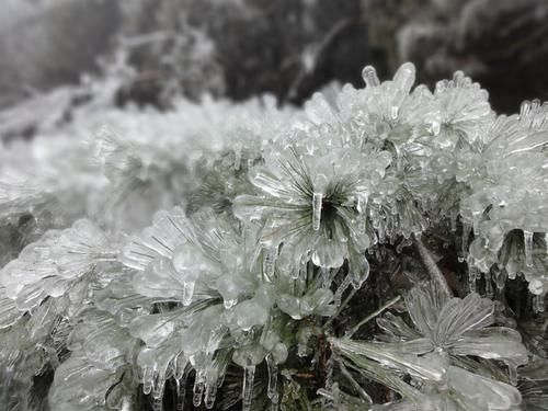 衡山|祈福圣地衡山成人间仙境，南国雾凇离广东仅2小时，游客：大美！