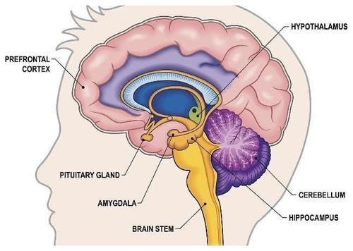 伤害|气能“气”出病来吗?教你按摩三个穴位,帮你解解气,早看早知道