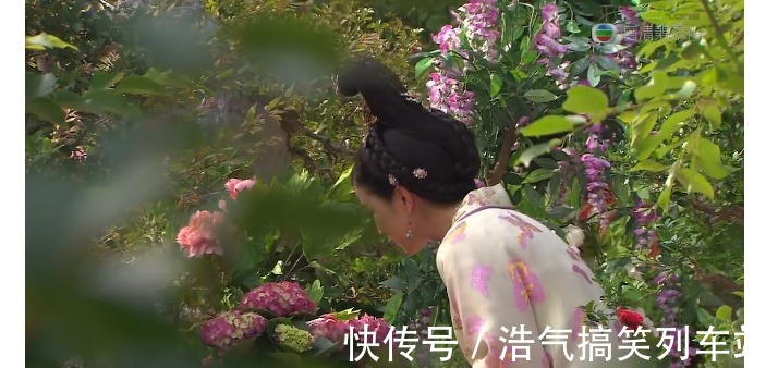 发髻 宫心计:刘三好的首饰:孔雀开屏项链、蓝水钻金钿、蝴蝶大袖衫