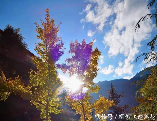 豆浆|这算不算全网最丰盛的豆浆呢!