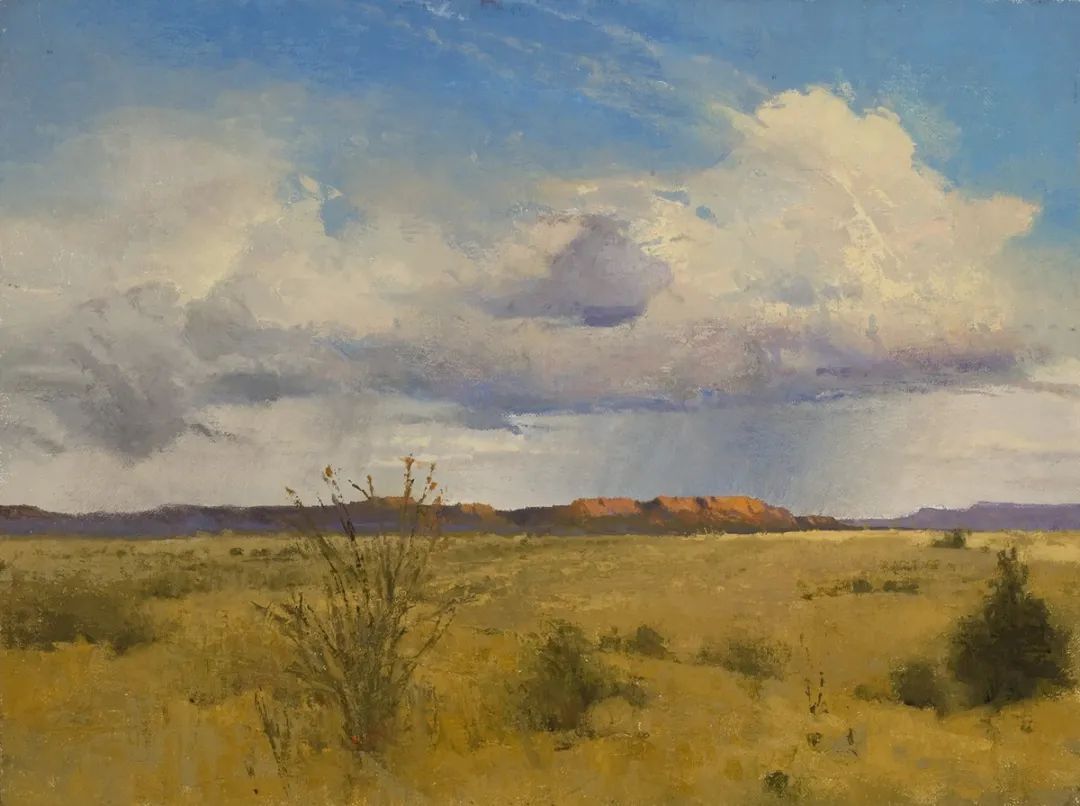 德克萨斯州#大卫·格里芬的风景油画高清图,放大看,更迷人
