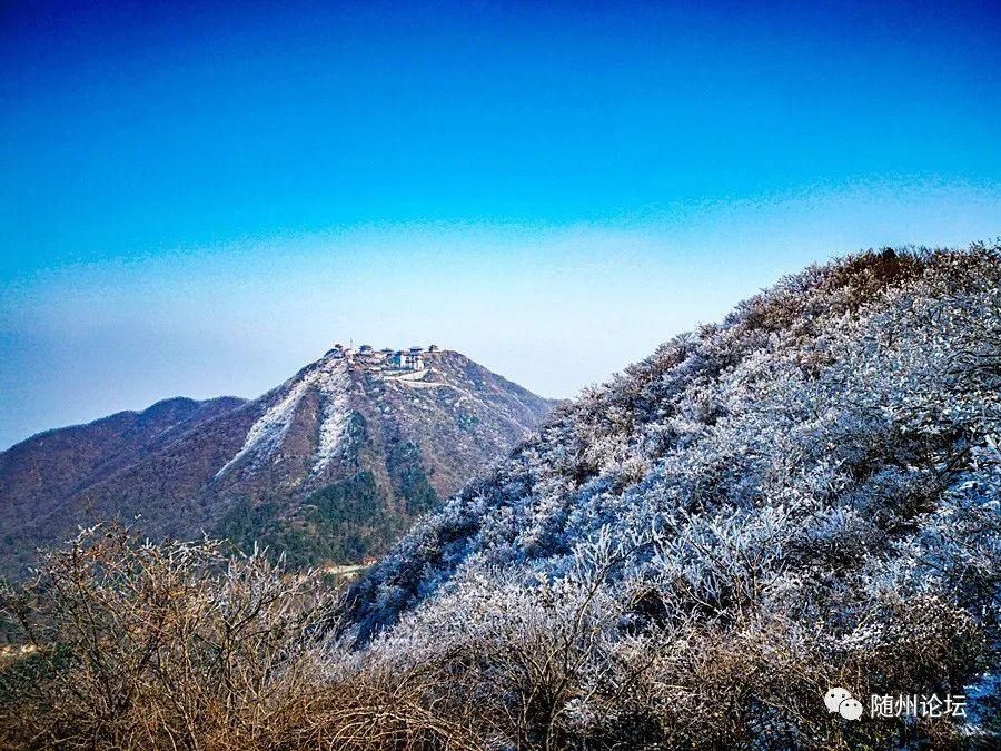 游人|大洪山冰雕奇观！银装素裹·玉树琼枝·游人络绎！