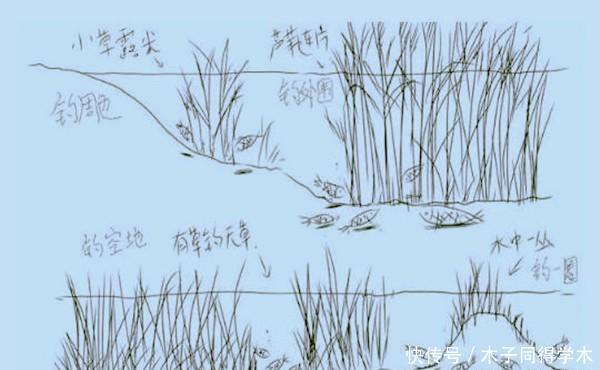 冬季钓鲫鱼,钓点选择不能随意,看图选草洞,让你轻松钓到大板鲫