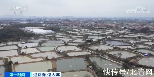 广东佛山：坐花船游古村 逛集市品美食 节日气氛浓|迎新春 过大年 | 游船