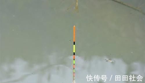 浮漂的形状不同,有不同的用途!经验来看,有这样几支基本够用了