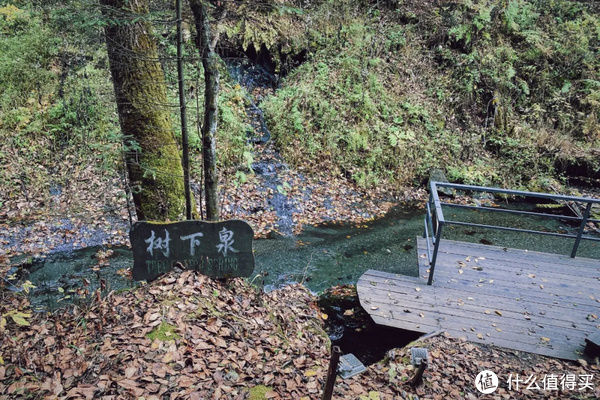 秘密|这个地方的秋天，是傻狍子都不想分享的秘密