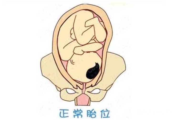 怀孕期间|顺产也是有门槛的,孕妈想顺产,先看看自己满不满足4个条件!