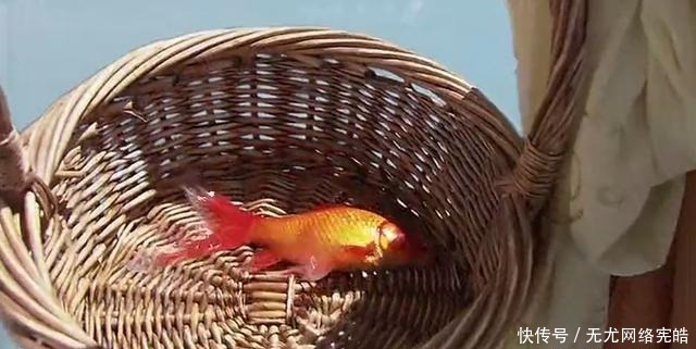 猪八戒|《西游记》这个地方的凡人最奇葩,妖怪吃人都不怕,还躲着偷看