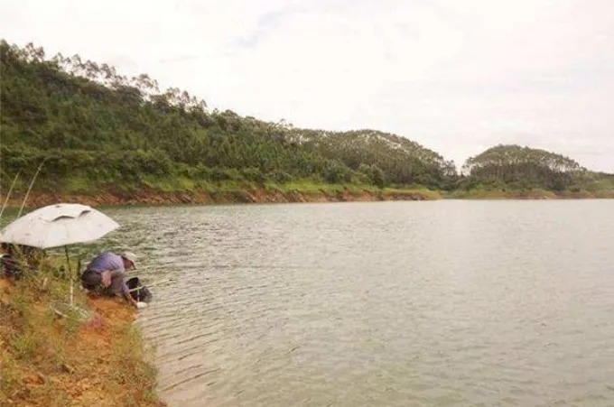 失手绳|垂钓大板鲫总是没有口,这4个口诀需要掌握,上鱼率立马就提高了几倍