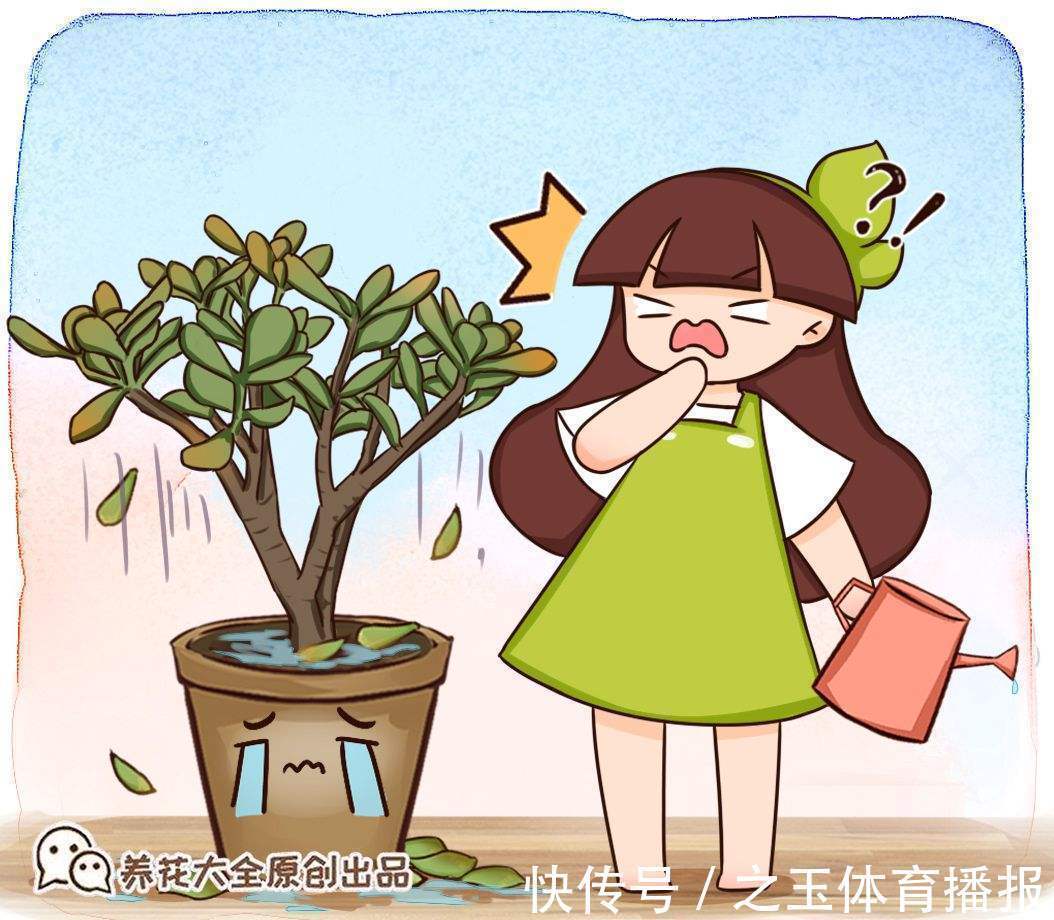 教你一些浇水的方法,从此浇花不再盲目,花长得又快又旺!