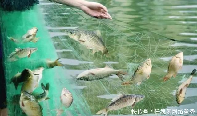 才发现,春季钓鱼人的天敌并不是电鱼的,而是他们